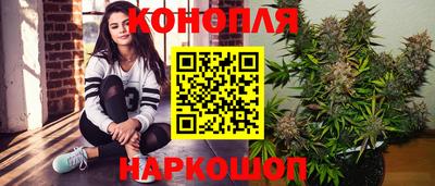 мяу мяу мука Нальчик