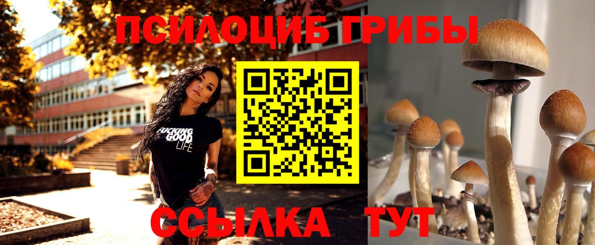 Псилоцибиновые грибы Magic Shrooms  наркотики  Вход с VPN  Подольск  Псилоцибиновые грибы прущие грибы 
