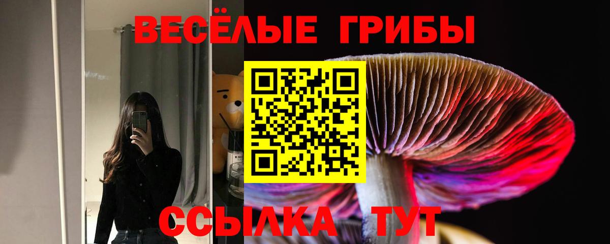 Псилоцибиновые грибы ЛСД Подольск